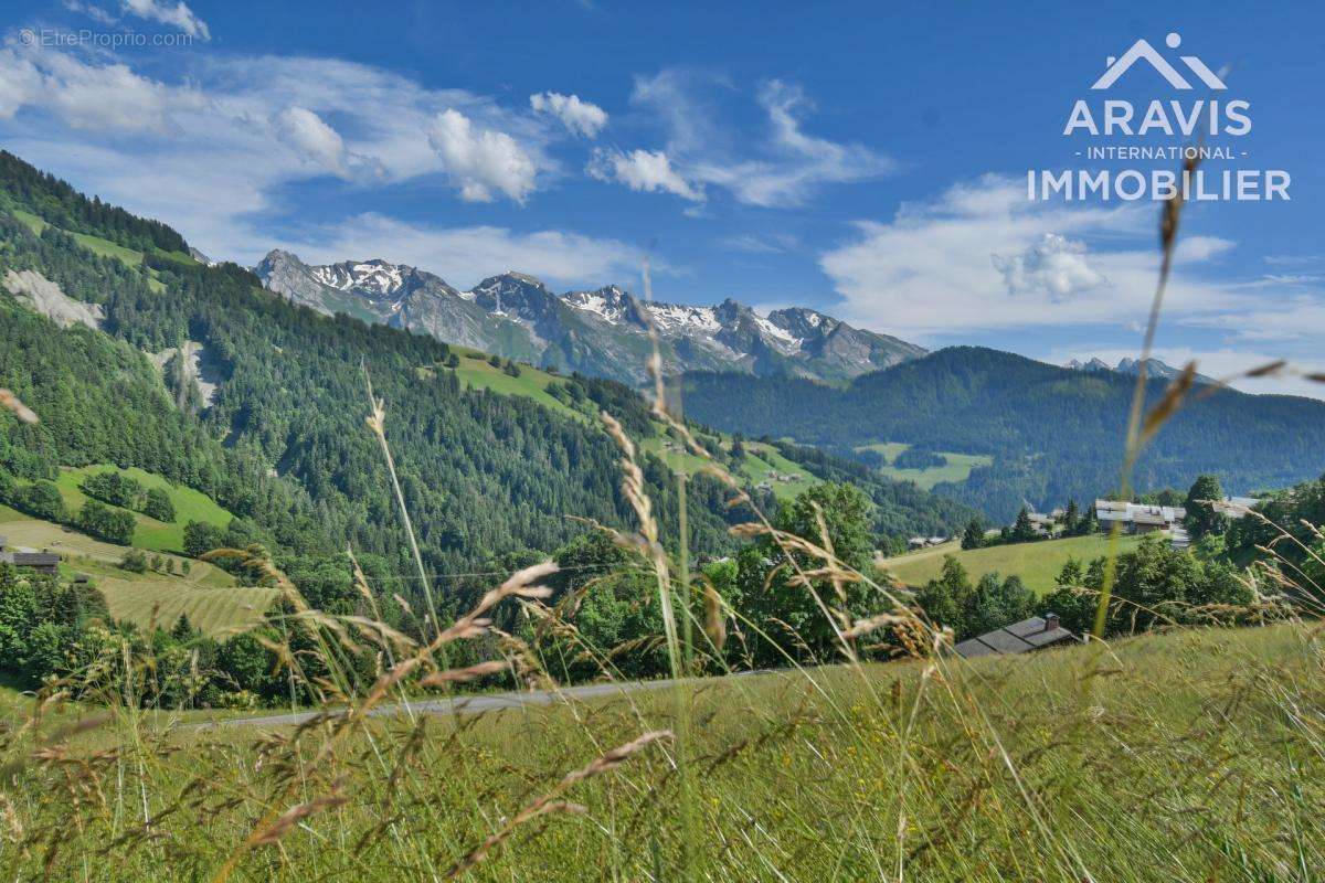 Terrain à LE GRAND-BORNAND