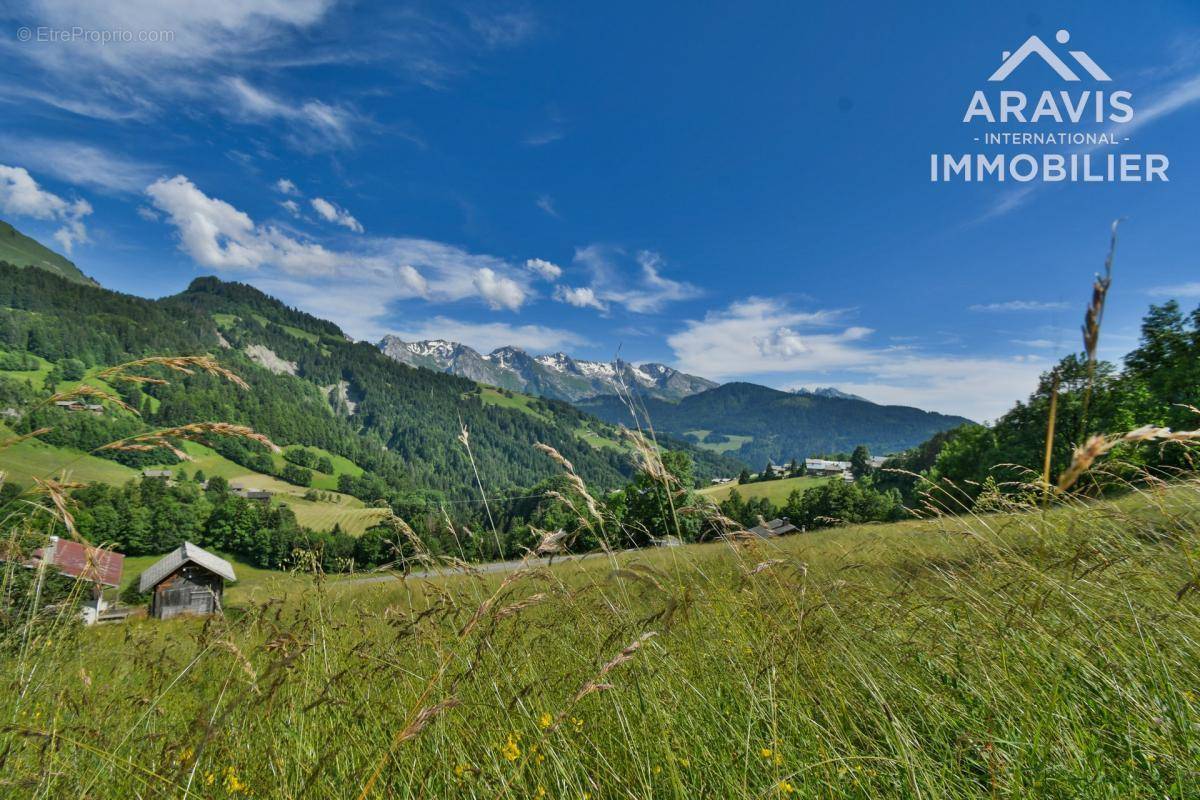 Terrain à LE GRAND-BORNAND