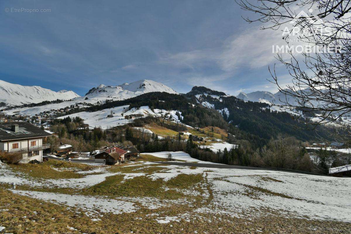 Terrain à LE GRAND-BORNAND