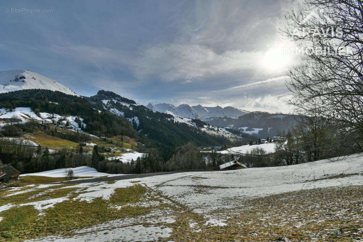 Terrain à LE GRAND-BORNAND