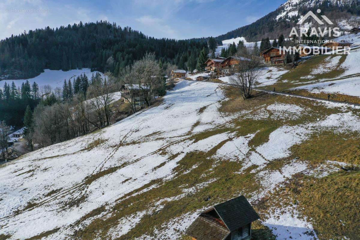 Terrain à LE GRAND-BORNAND