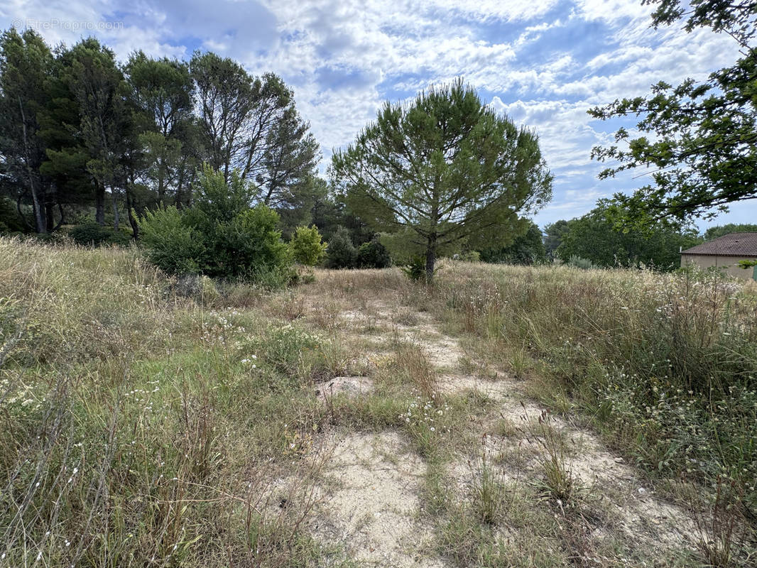 Terrain à PERTUIS