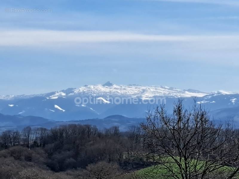 Terrain à SAUVETERRE-DE-BEARN