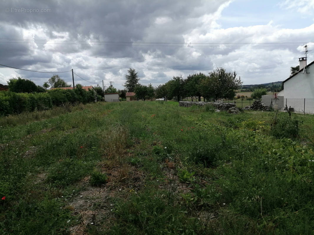 Terrain à SAINT-SEVERIN