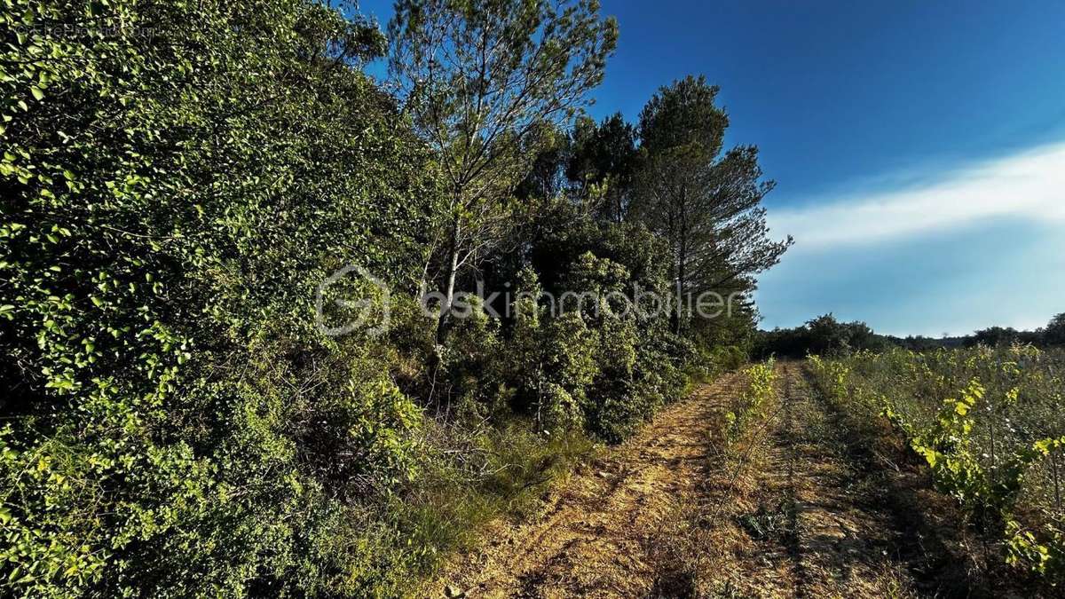 Terrain à GIGNAC