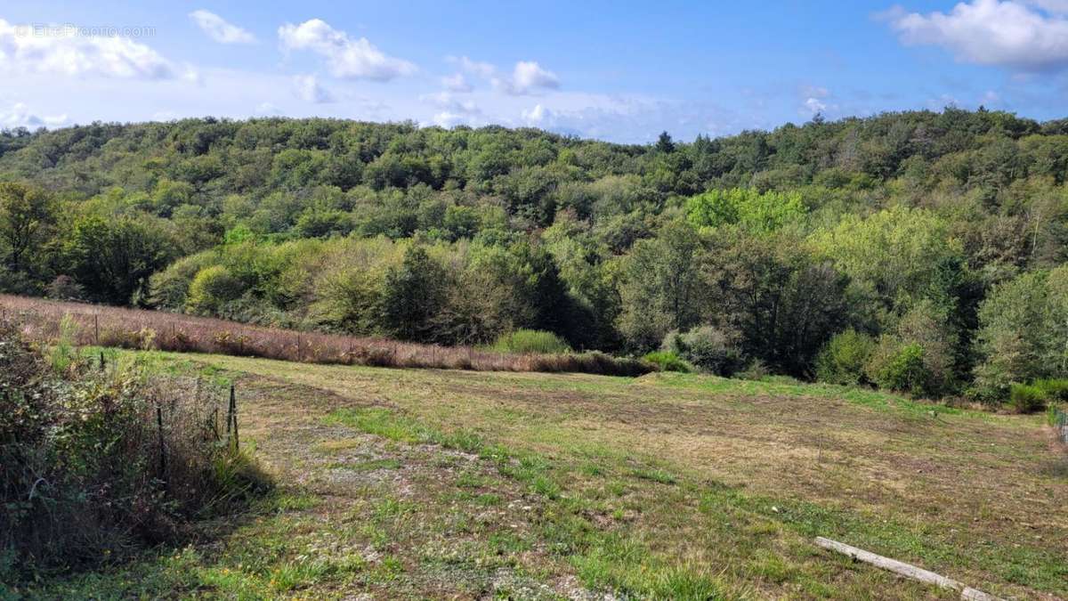 Terrain à BRIVE-LA-GAILLARDE