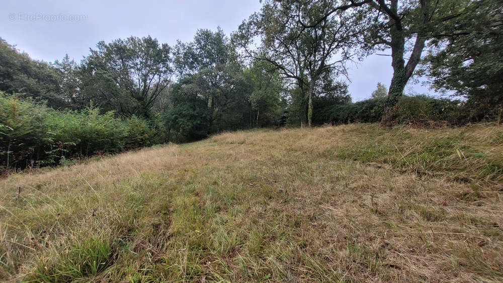 Terrain à BRIVE-LA-GAILLARDE