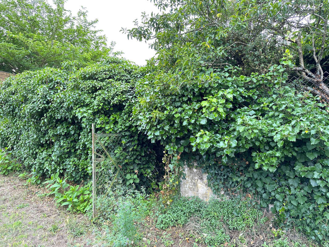 Terrain à CHAUVIGNY