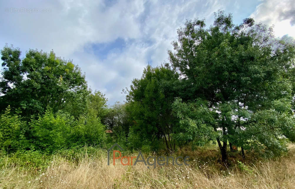 Terrain à SAINT-PALAIS-SUR-MER