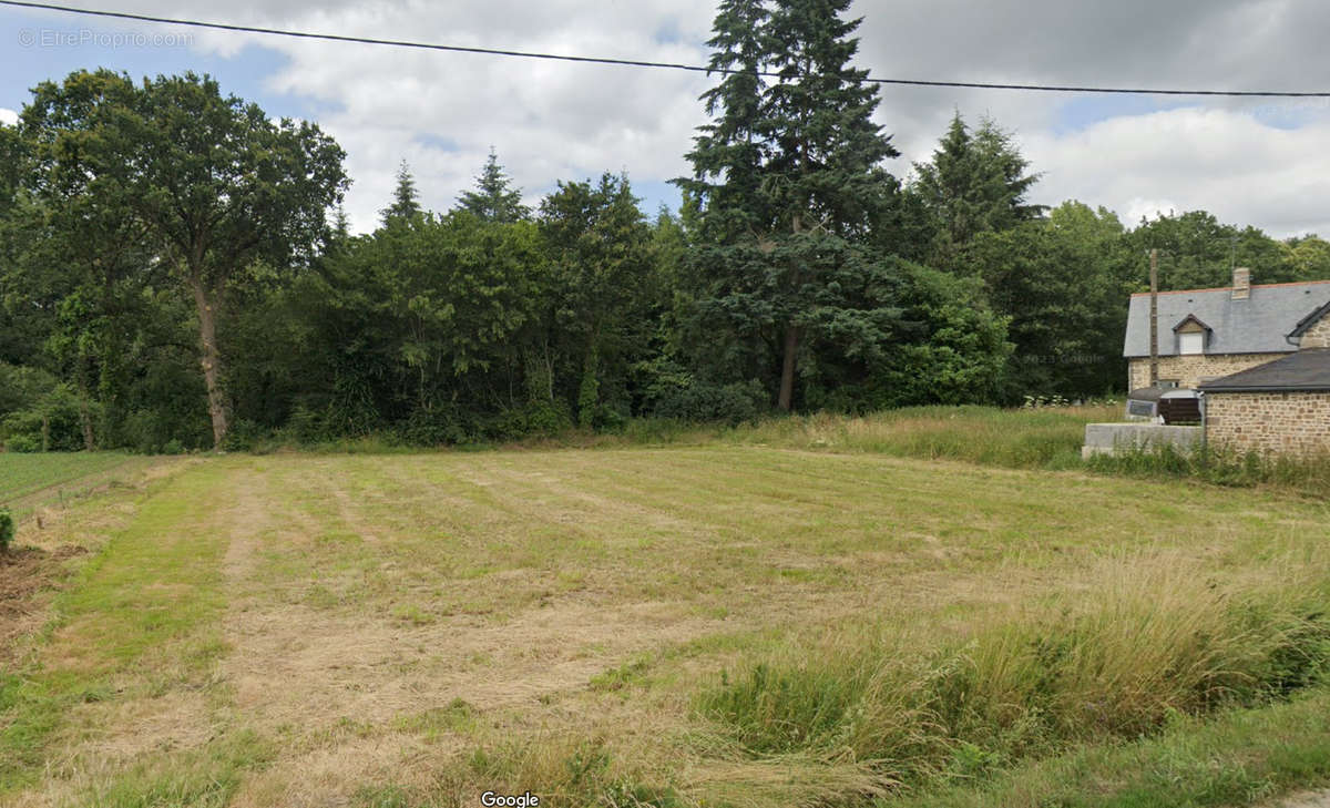 Terrain à CHAUVIGNE