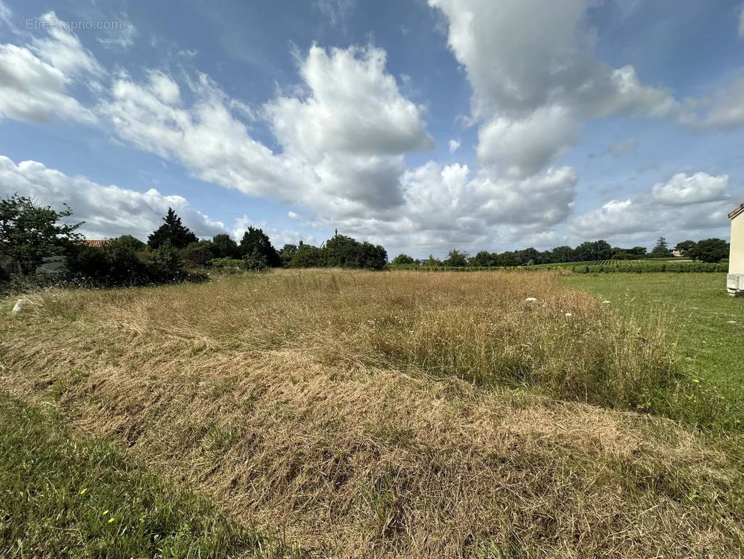 Terrain à MARCILLAC