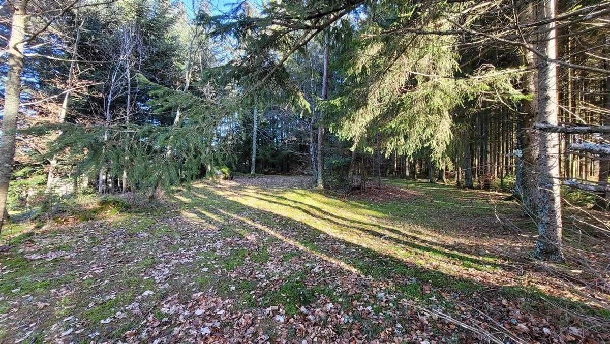 Appartement à LE CHAMBON-SUR-LIGNON