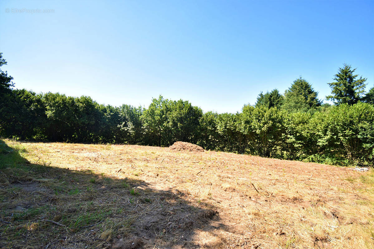 Terrain à LE ROUGET