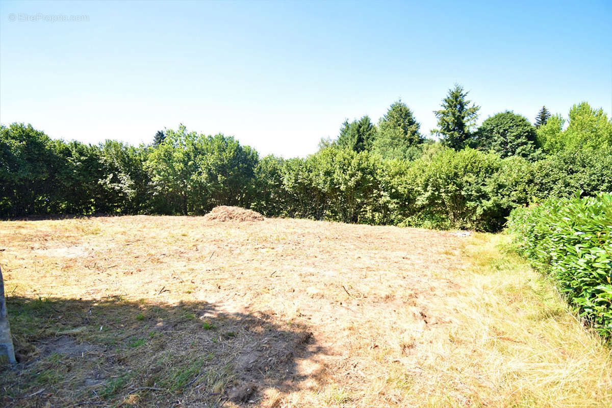 Terrain à LE ROUGET