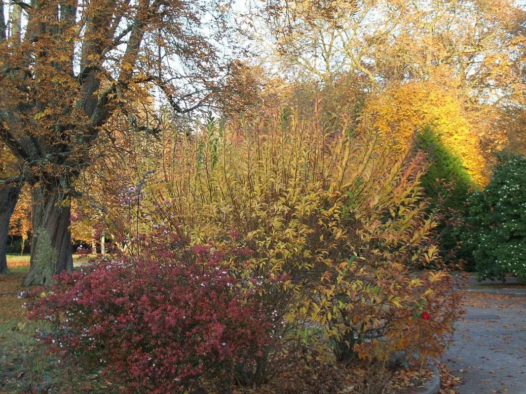 Maison à SAINT-BIEZ-EN-BELIN