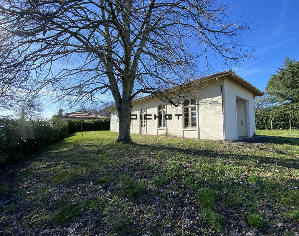 Maison à BAZAS