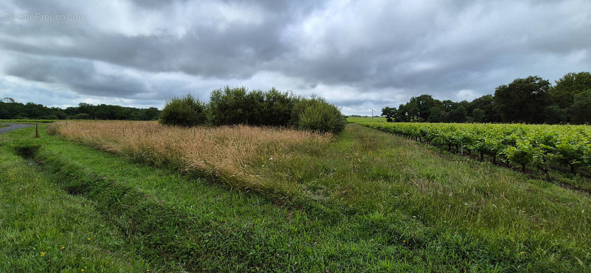 Terrain à MAISDON-SUR-SEVRE