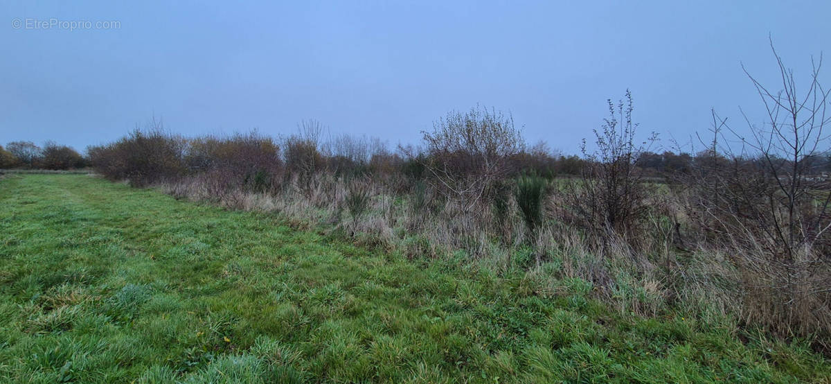 Terrain à MAISDON-SUR-SEVRE