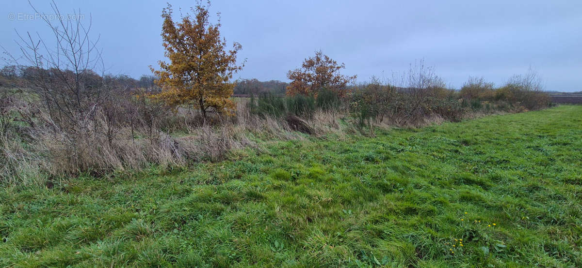 Terrain à MAISDON-SUR-SEVRE