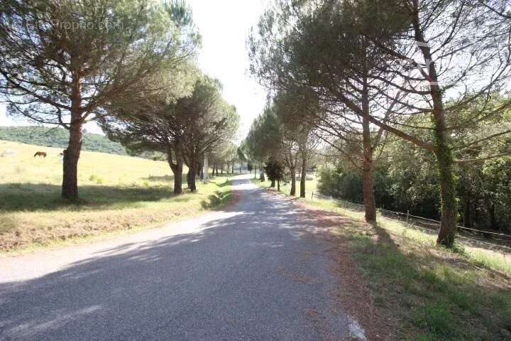 Terrain à LIMOUX