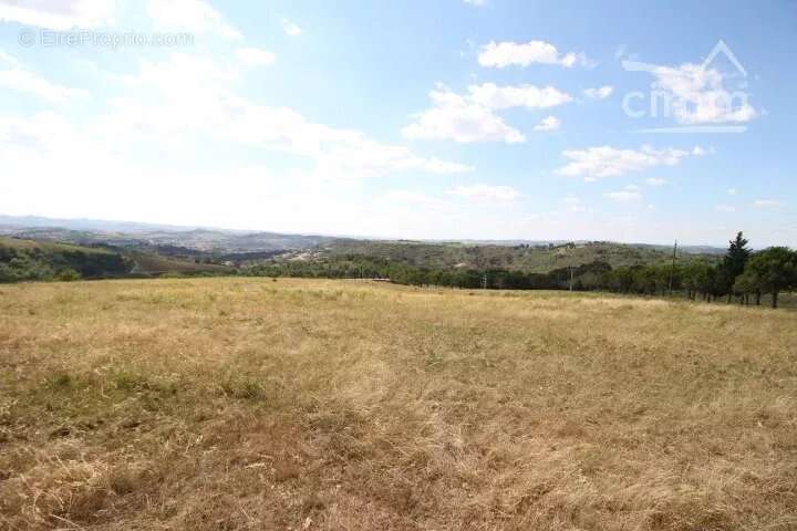 Terrain à LIMOUX