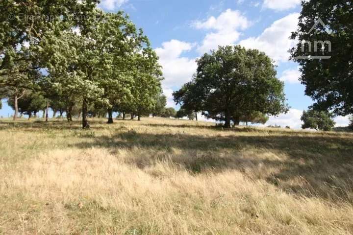 Terrain à LIMOUX