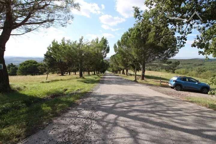 Terrain à LIMOUX