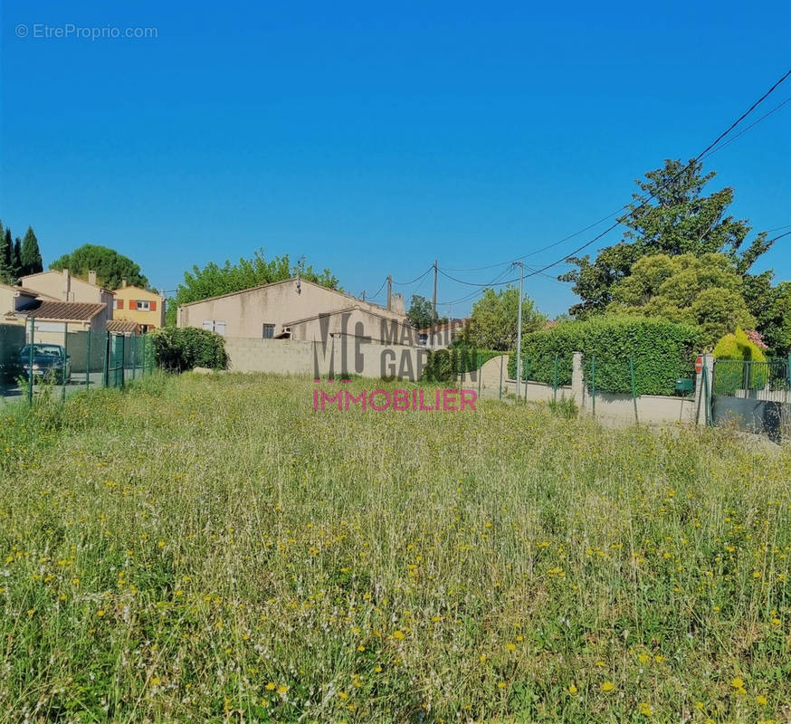 Terrain à ENTRAIGUES-SUR-LA-SORGUE