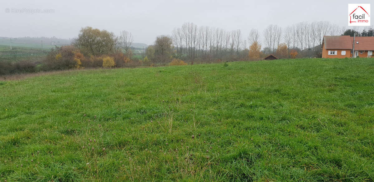 Terrain à SAINT-GEORGES