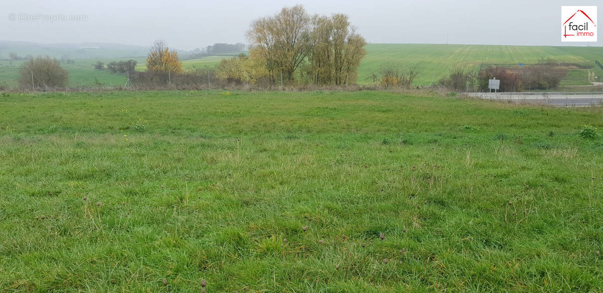 Terrain à SAINT-GEORGES