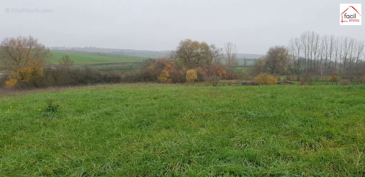 Terrain à SAINT-GEORGES