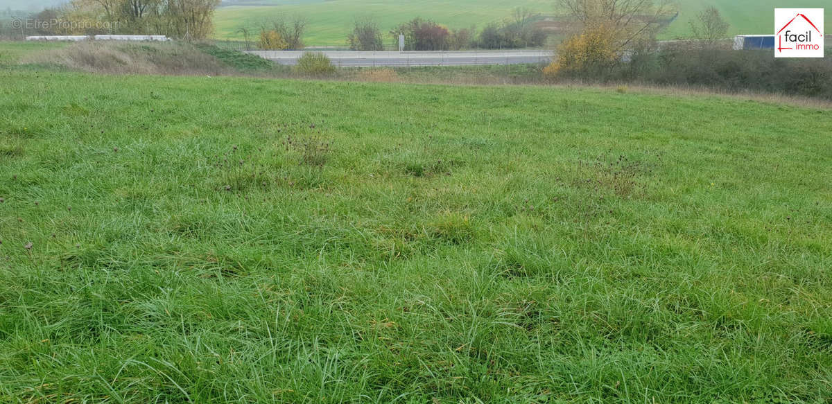 Terrain à SAINT-GEORGES