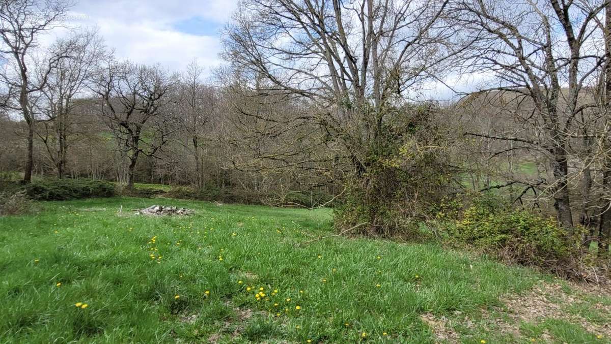 Terrain à ESCLAGNE