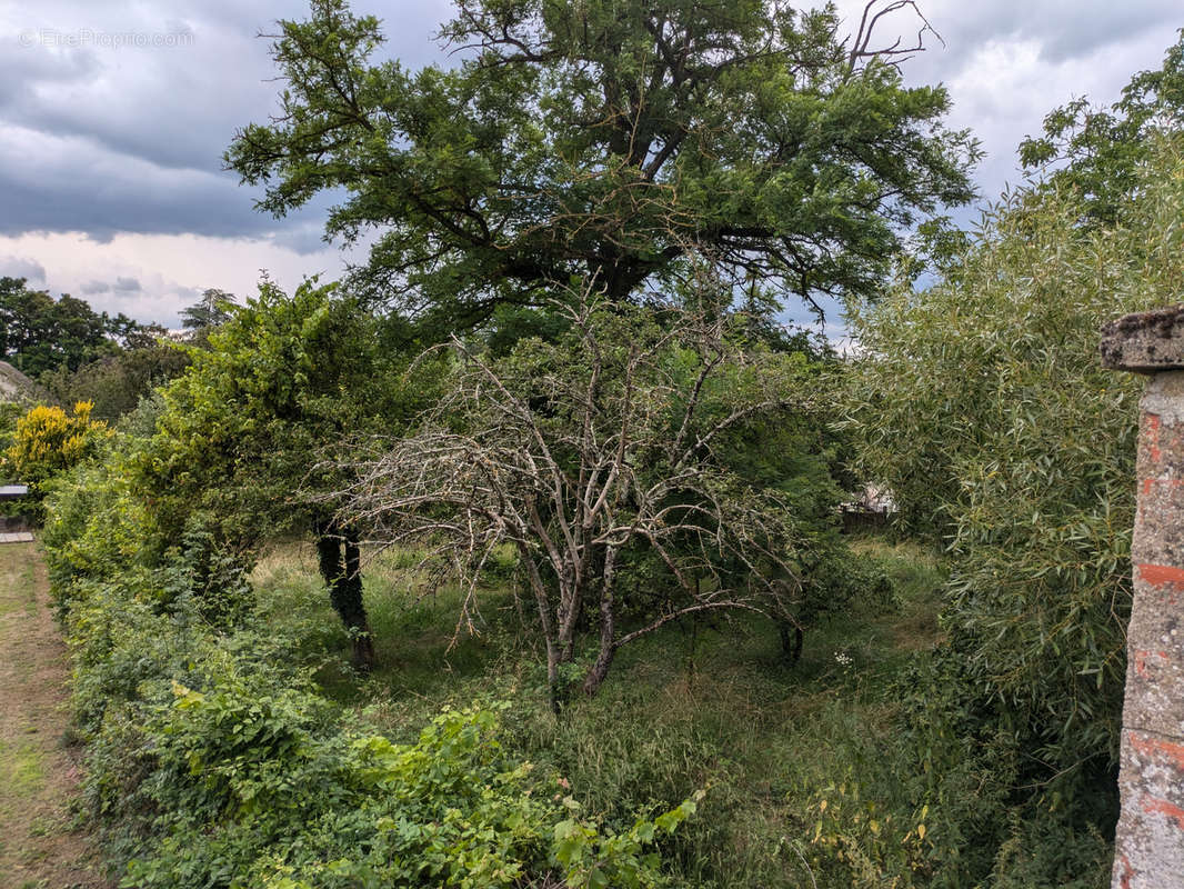 Terrain à CHALLUY