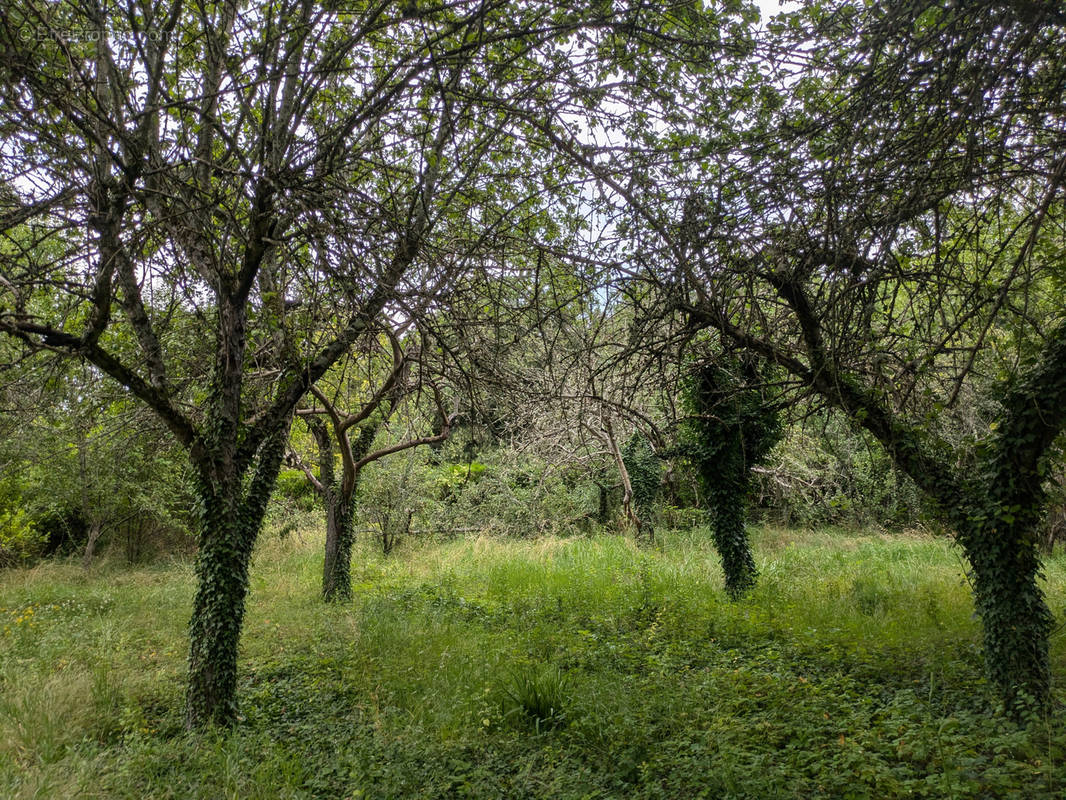 Terrain à CHALLUY