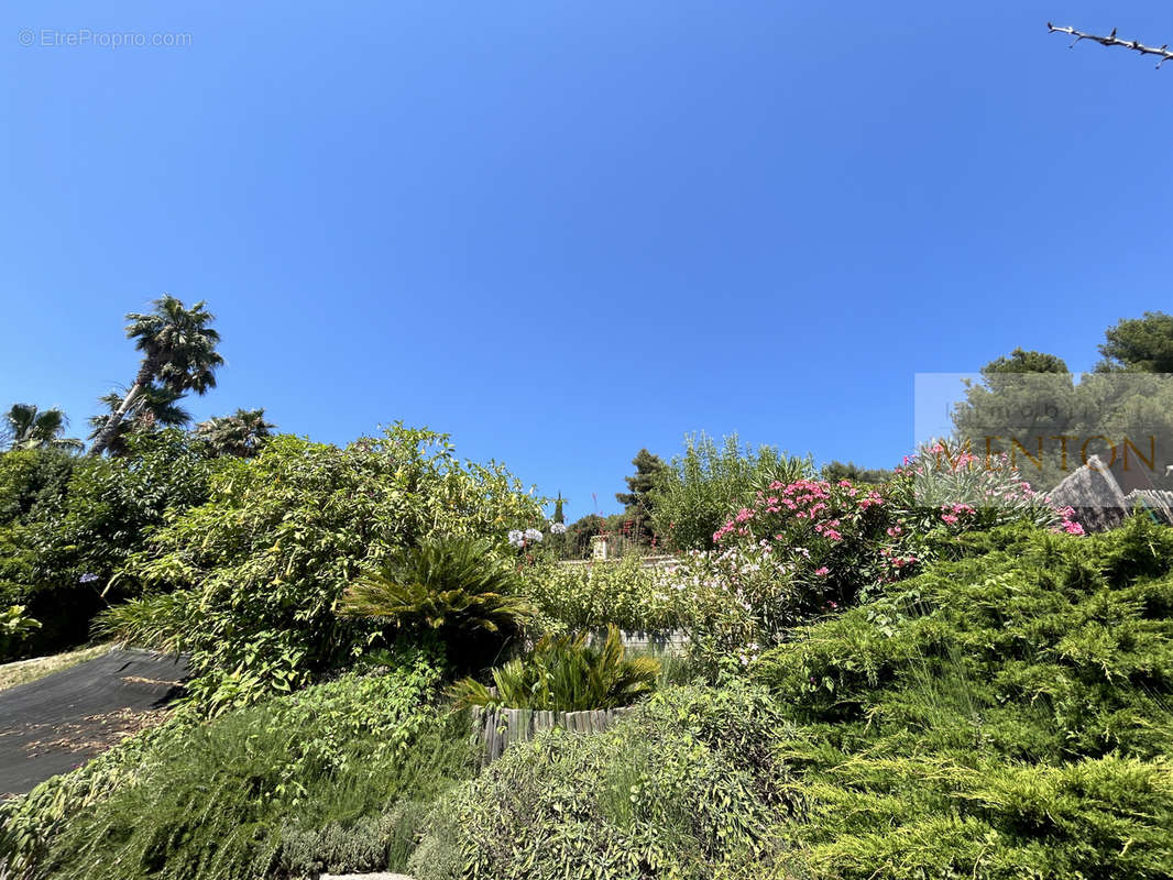 Maison à MENTON