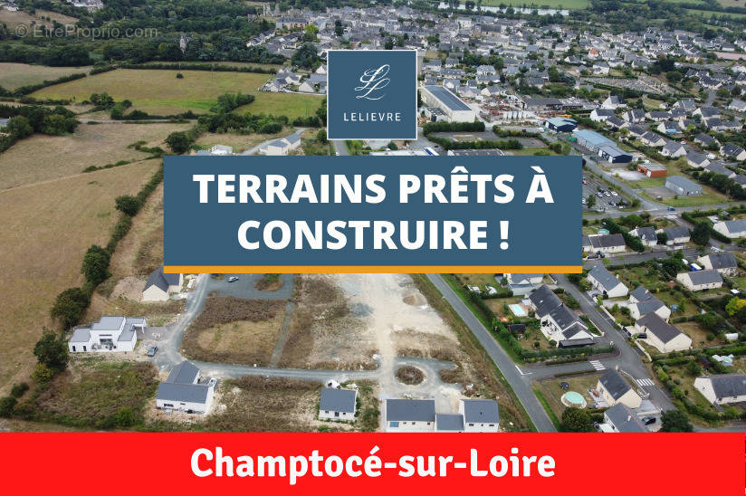 Terrain à CHAMPTOCE-SUR-LOIRE