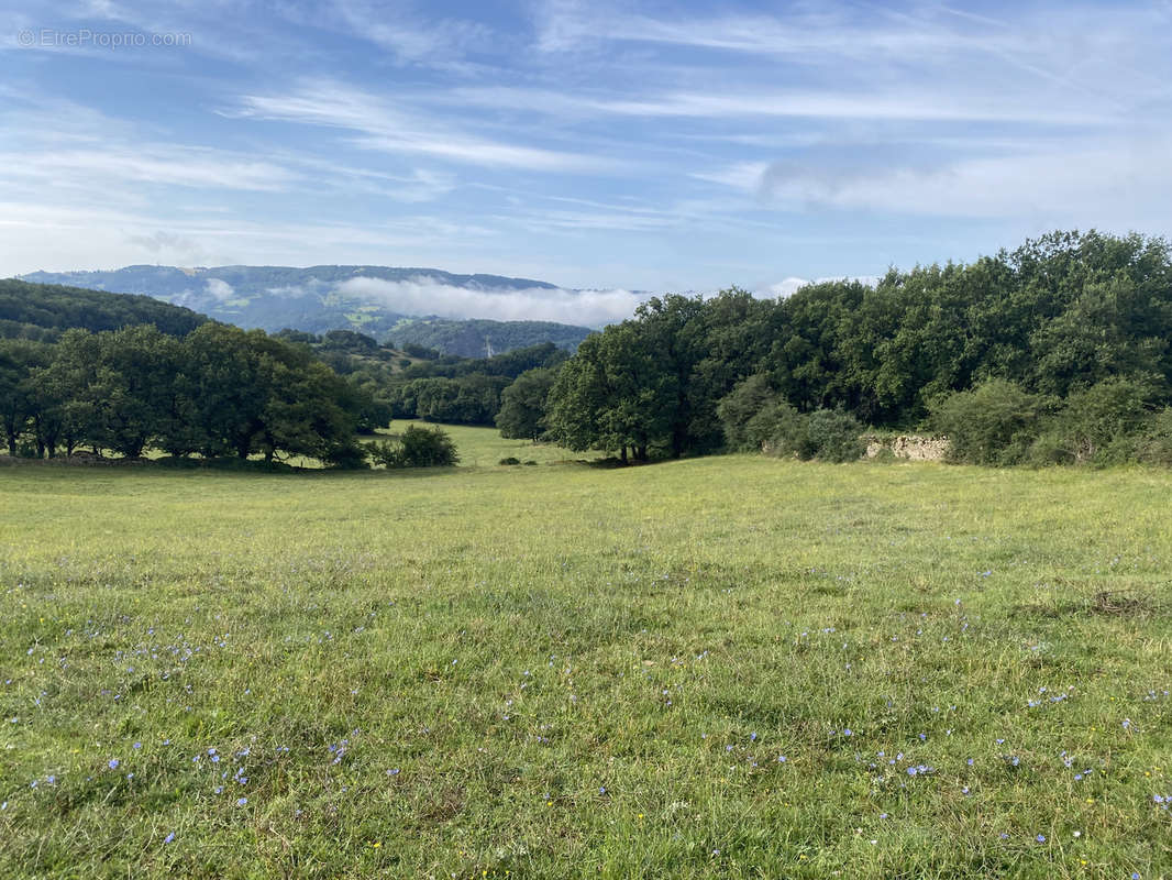 Terrain à ESPALION