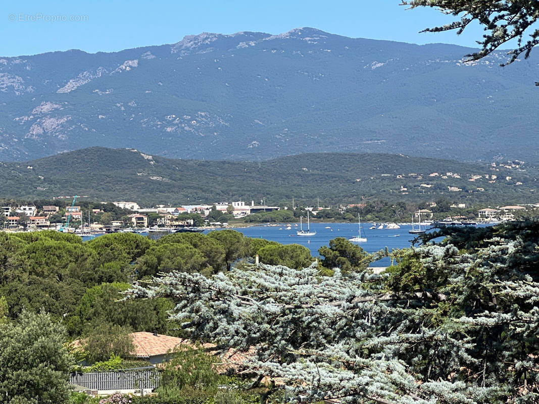 Maison à PORTO-VECCHIO