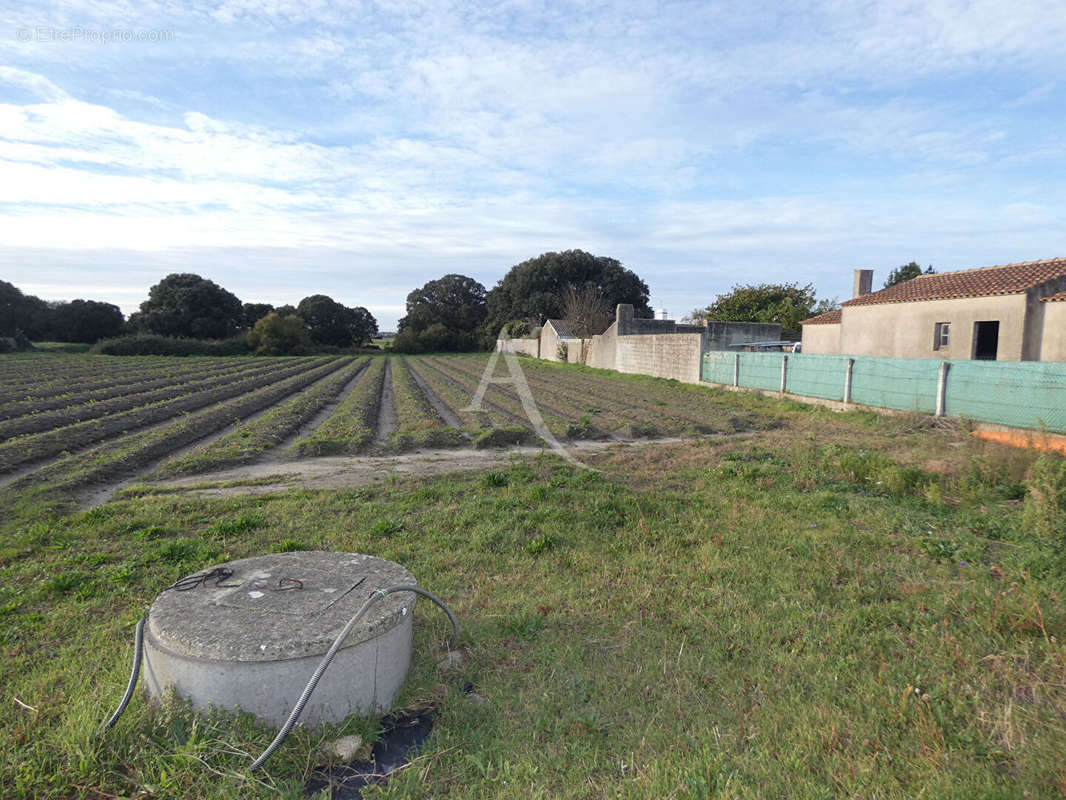 Terrain à NOIRMOUTIER-EN-L&#039;ILE