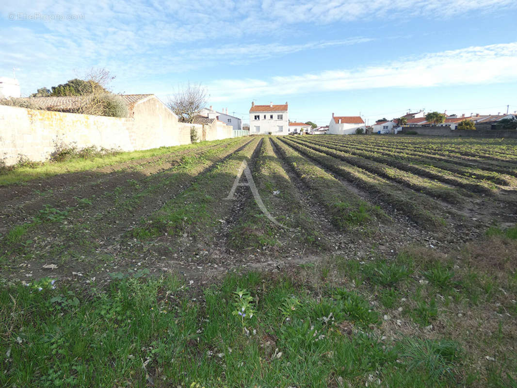 Terrain à NOIRMOUTIER-EN-L&#039;ILE