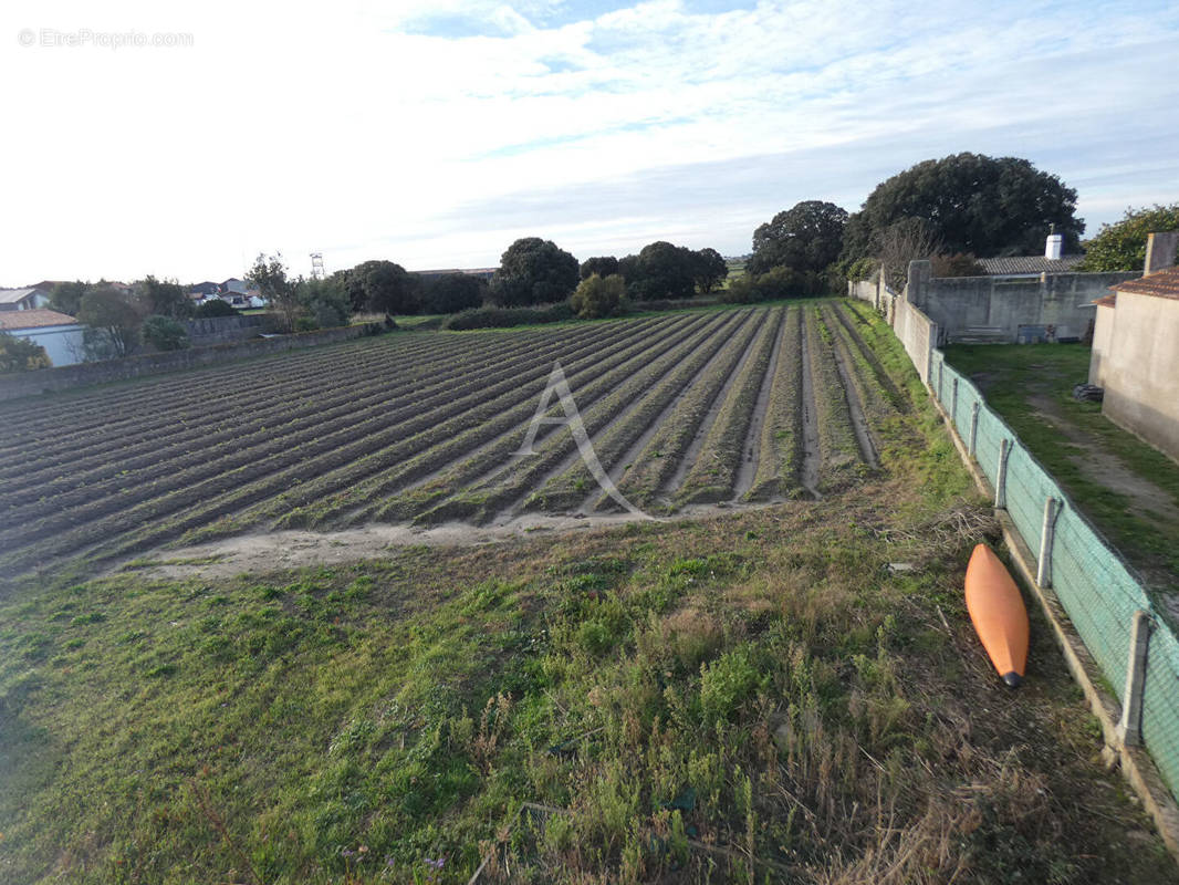 Terrain à NOIRMOUTIER-EN-L&#039;ILE