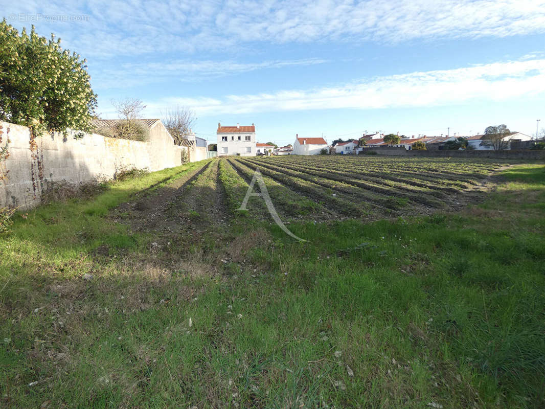 Terrain à NOIRMOUTIER-EN-L&#039;ILE