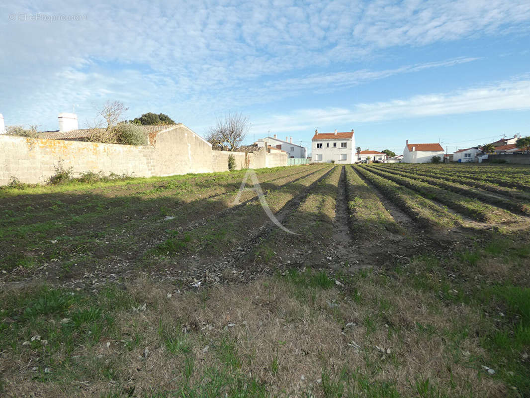 Terrain à NOIRMOUTIER-EN-L&#039;ILE