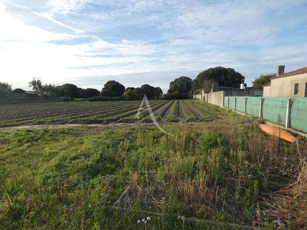 Terrain à NOIRMOUTIER-EN-L&#039;ILE