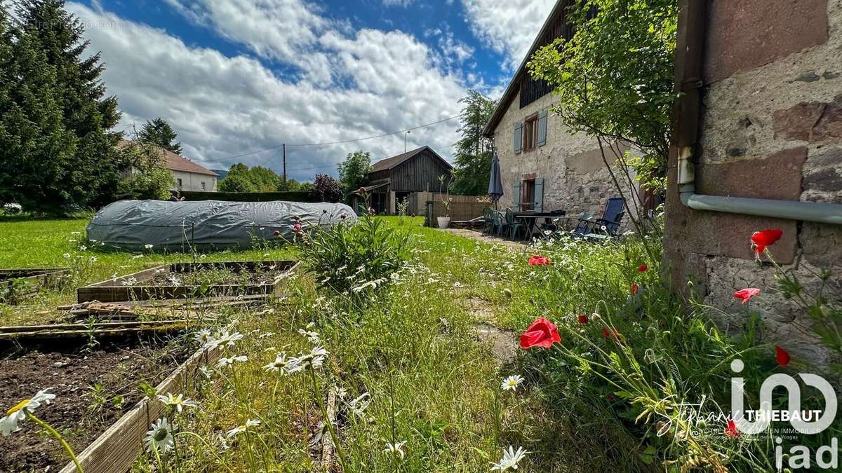 Photo 4 - Maison à DOMMARTIN-LES-REMIREMONT