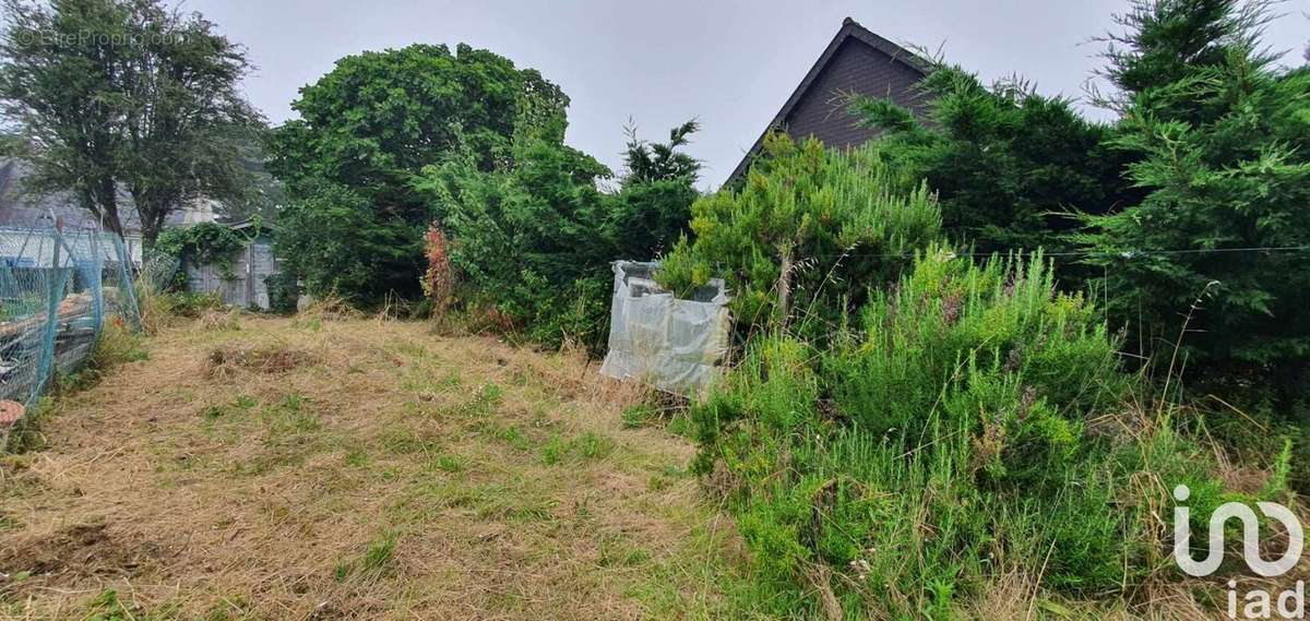 Photo 7 - Maison à SAINT-PIERRE-QUIBERON