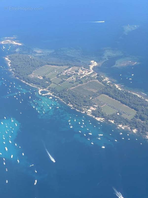 Maison à ROQUEFORT-LES-PINS