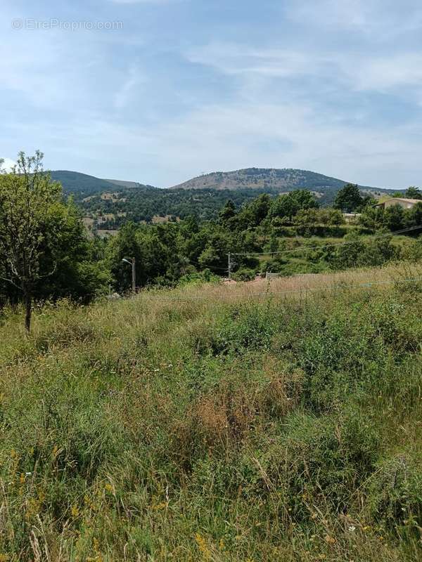 Terrain à COURSEGOULES