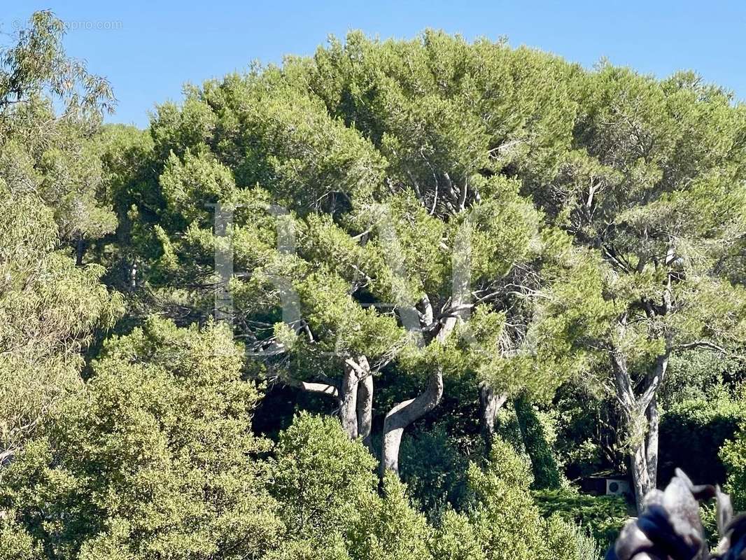 Maison à CANNES